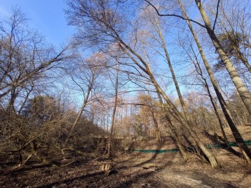 bariera na płazy- Łagiewniki widok od zachodu  , 